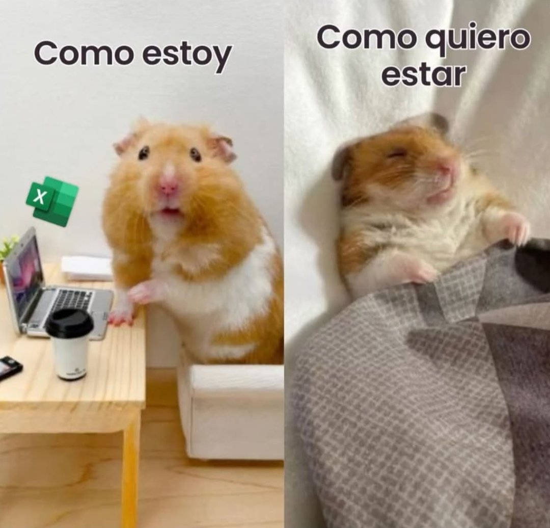 Ya me quiero ir 😫