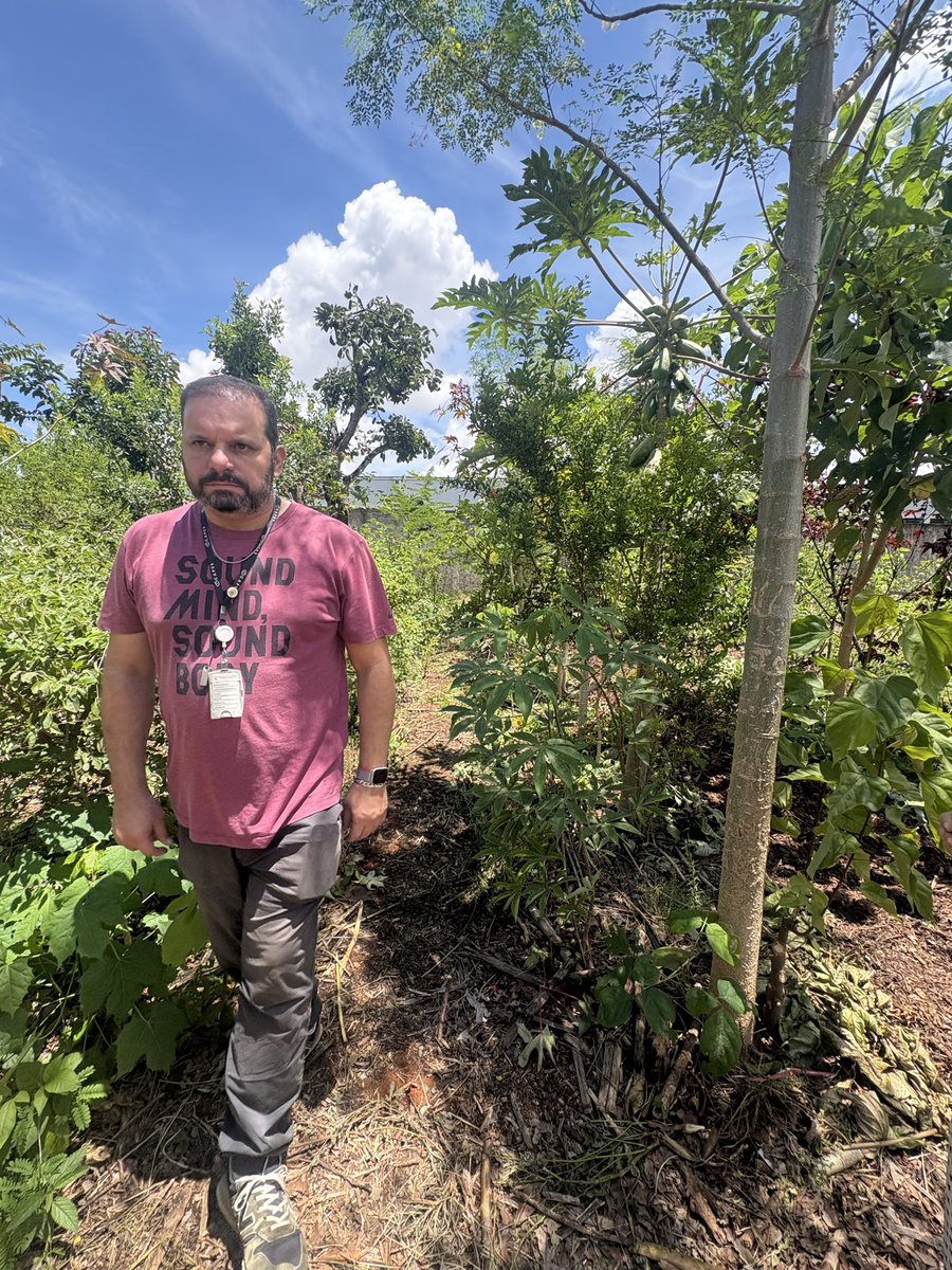 J. Mojica tweet media