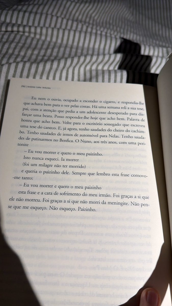 Teresa Tavares de Abreu tweet media