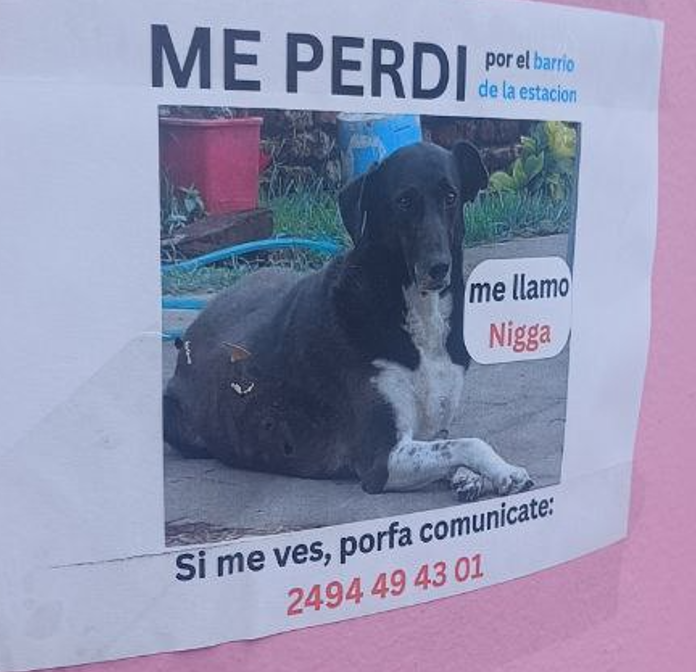 Spotted in my town

I hope the dog is found but uhhhh
