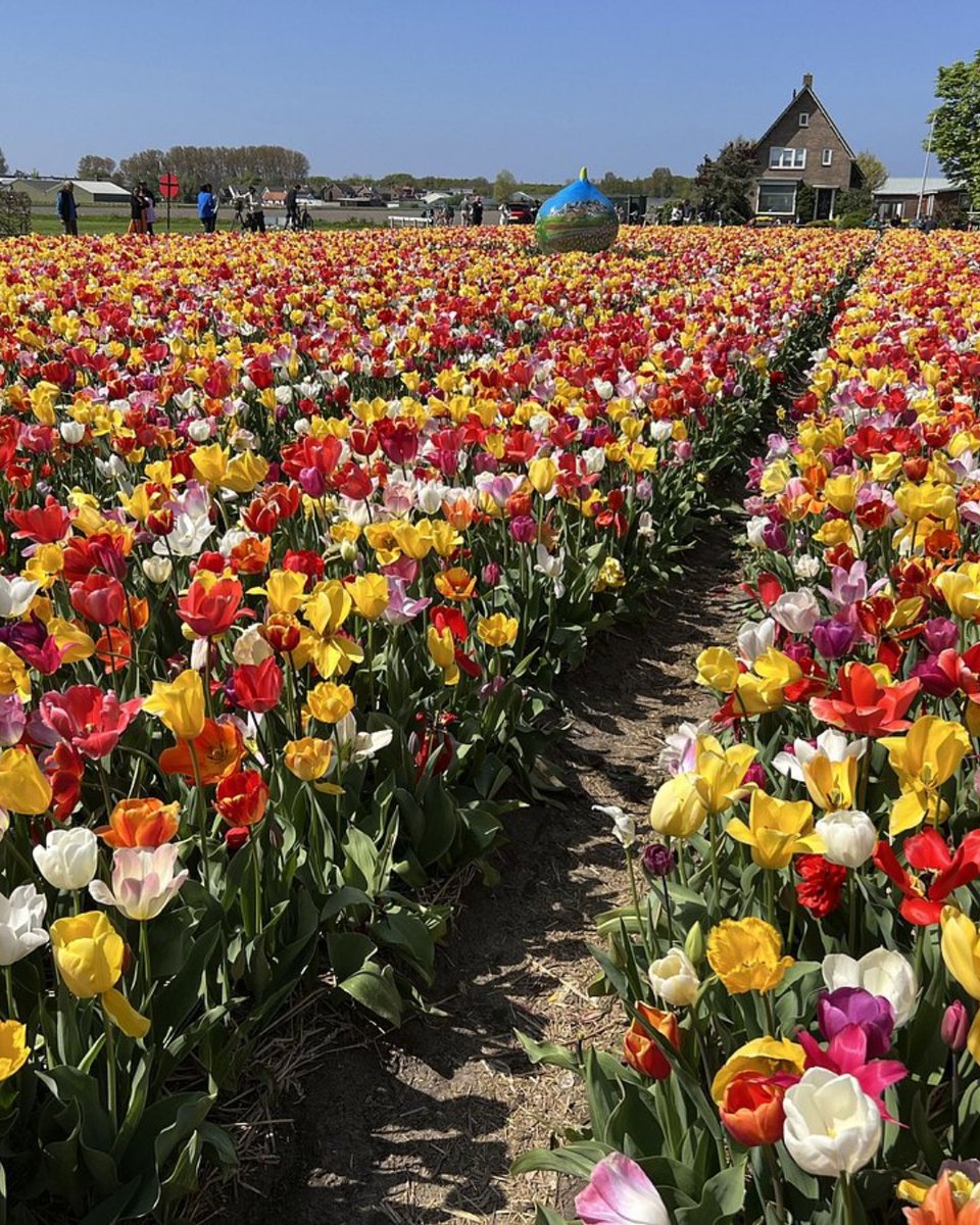 Tripadvisor tweet media