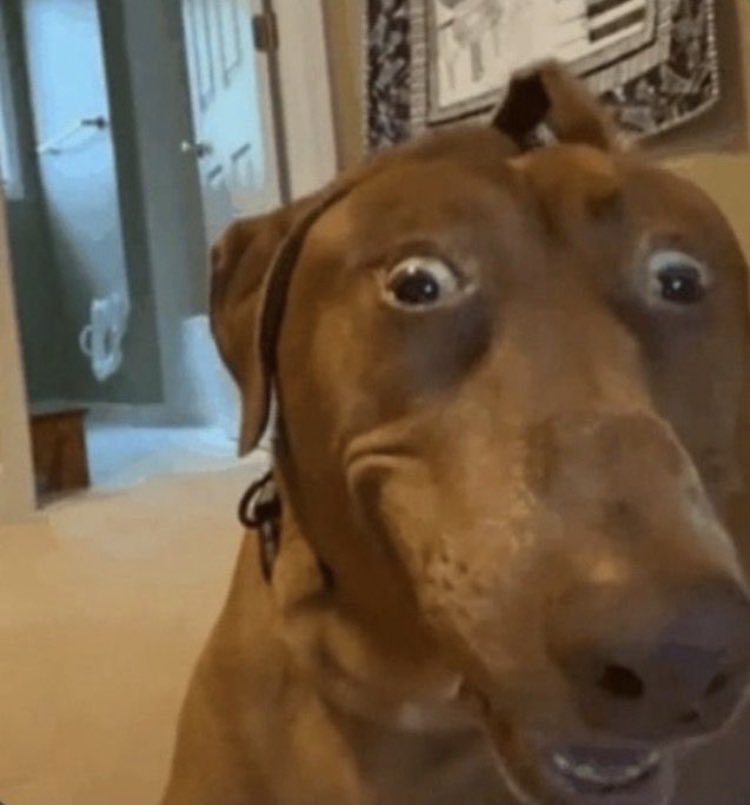 Cheese Review (temp) tweet media