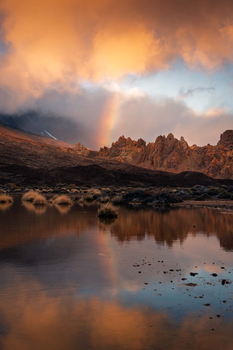 Javier Martínez Morán tweet media