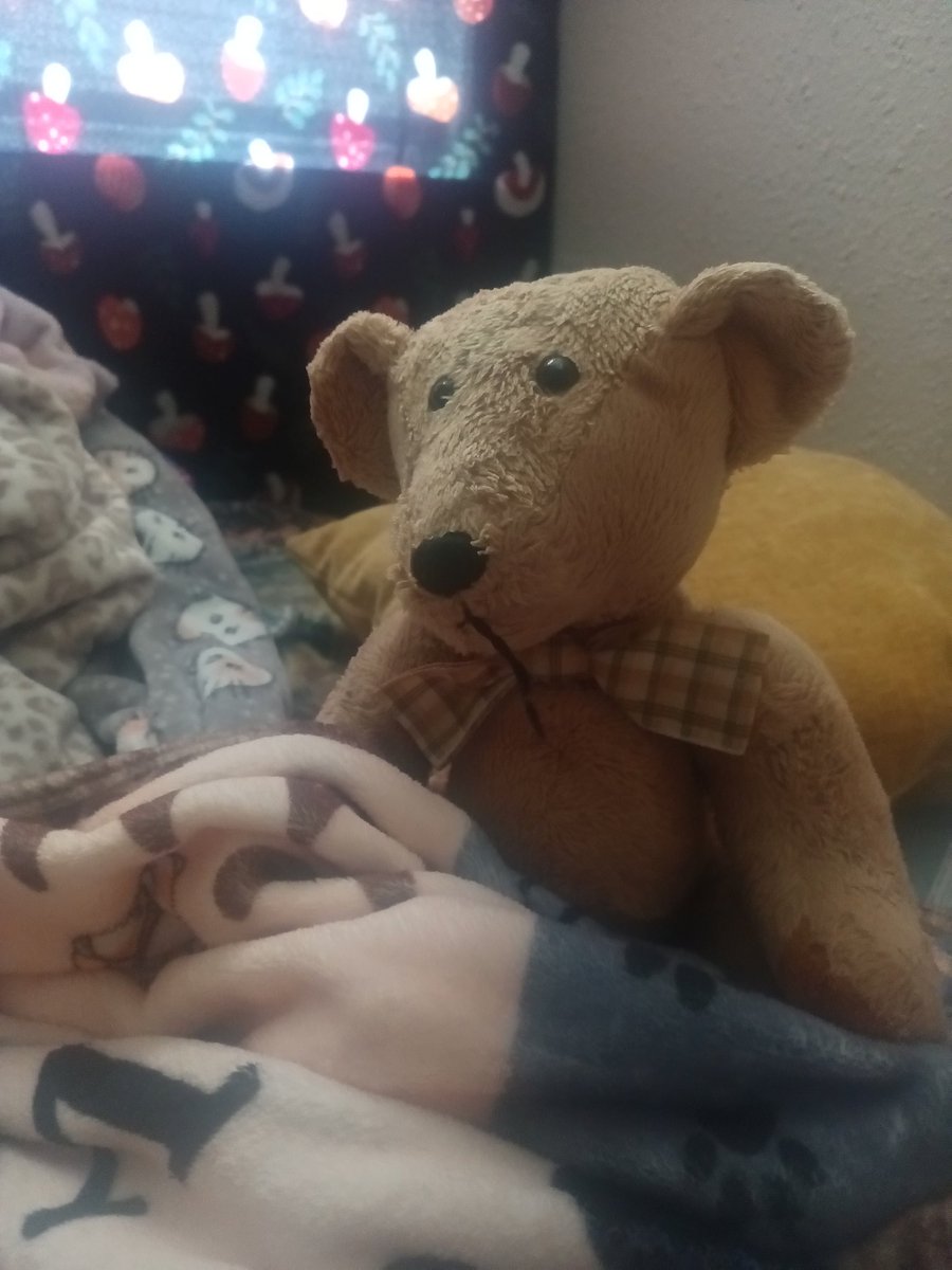 BogartSmith3's tweet image. I'm sitting here enjoying a comfy #HedgewatchforFreddie thinking 🤔 how some pals like Freddy just made your life better...fly high my friend and I send hugs to your family.  #teddybear