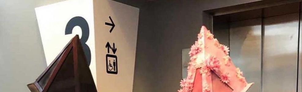 James &amp; Pyramid: Cute Chaos