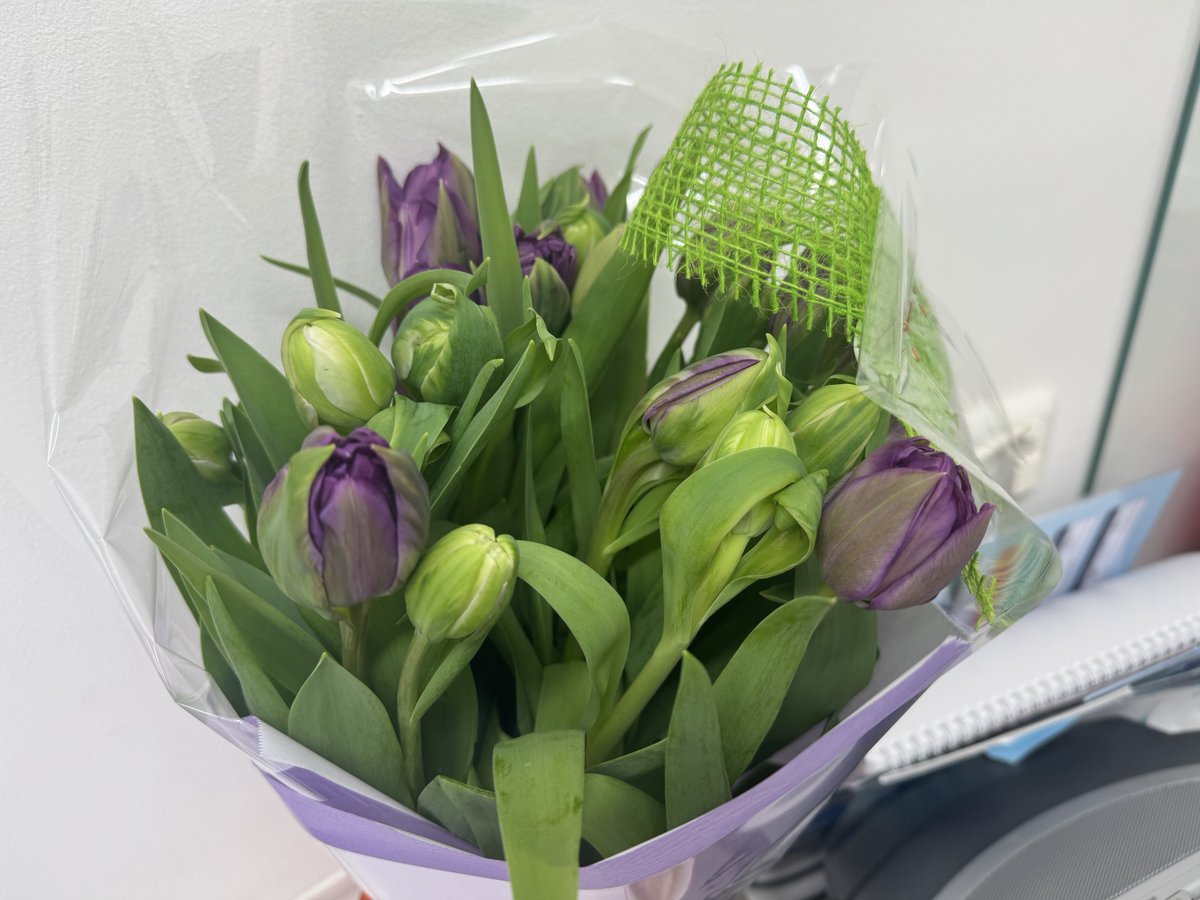 zij van de Blij tweet media