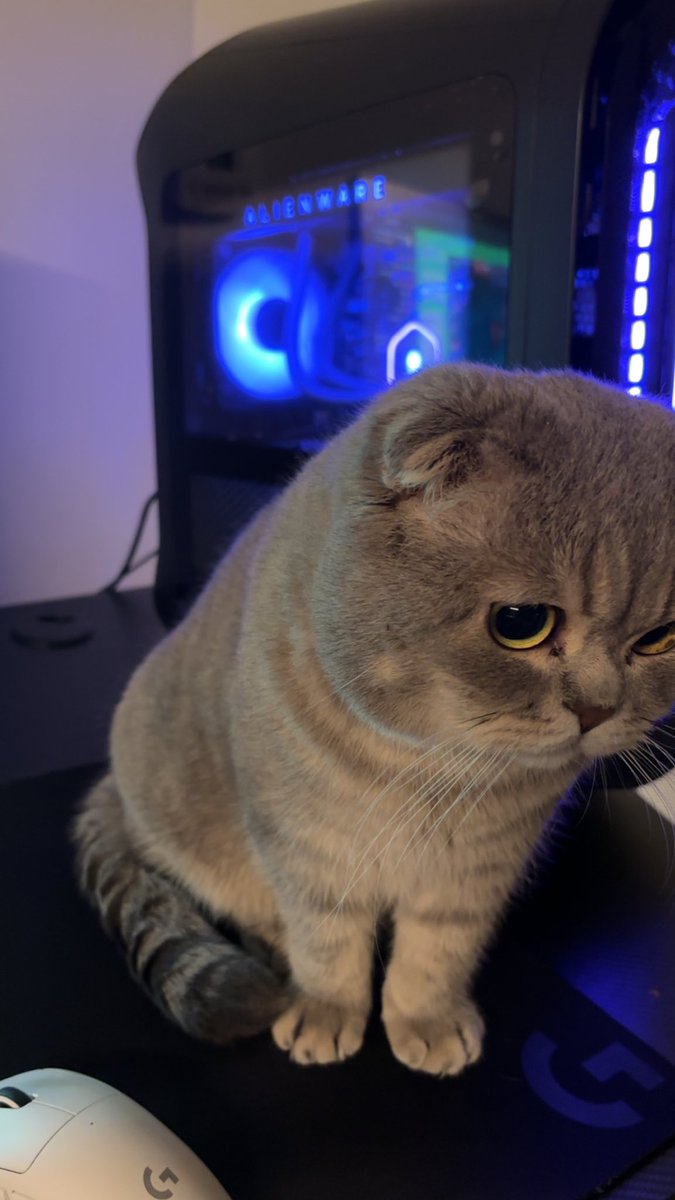 Mobility tweet media