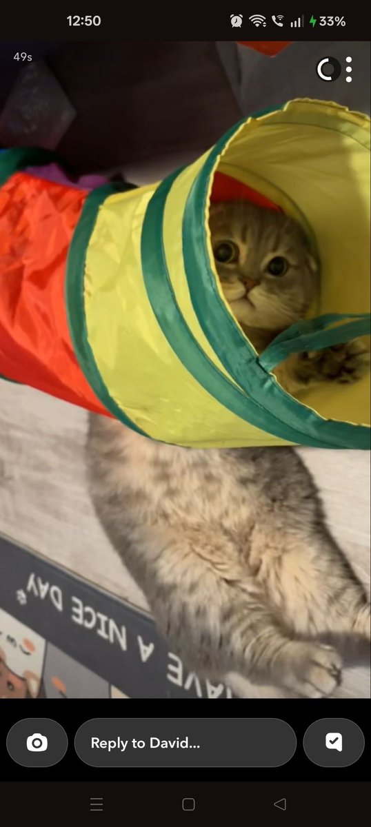 Mobility tweet media