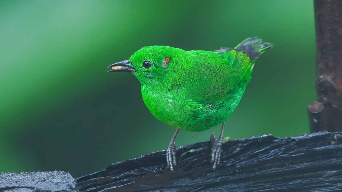 Caren Jahre tweet media