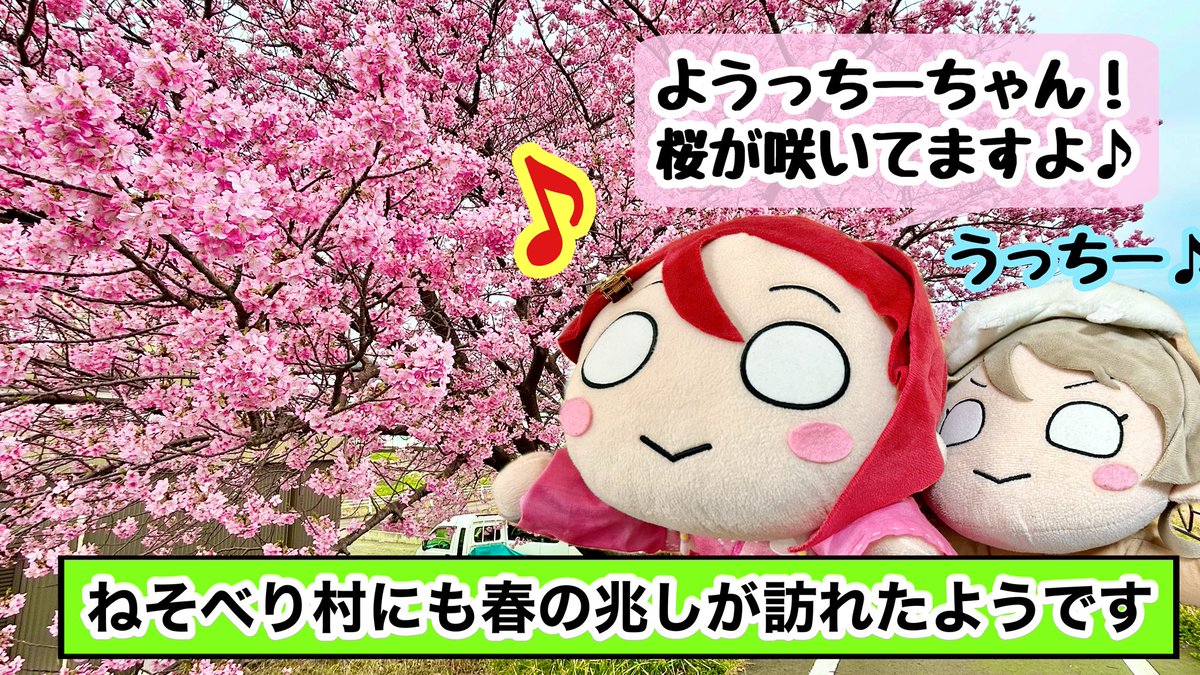 EntdeckerT's tweet photo. 【ようっちーちゃんとひな祭り】(後編)
桜の花も咲きつつあり、ねそべり村にのどかな春が訪れつつあるようです。
#おまけのさくらうちさん https://t.co/X32E0FgqaI