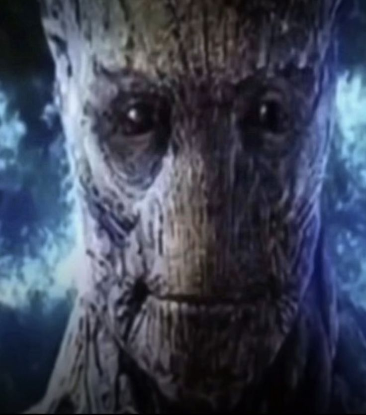 Final Squad tweet media