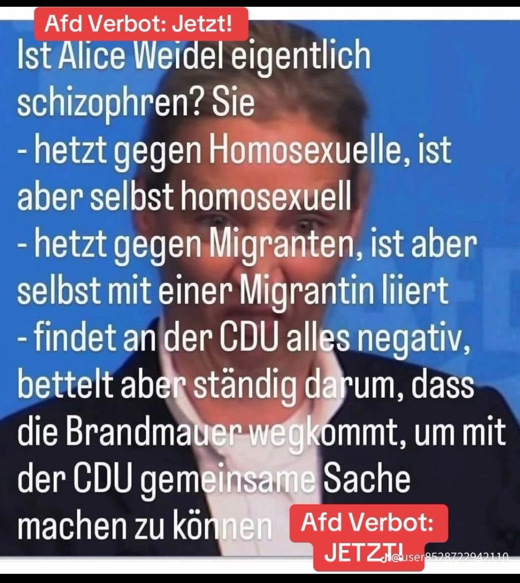 JosefSpicks's tweet photo. @Alice_Weidel https://t.co/zd4soTCo28