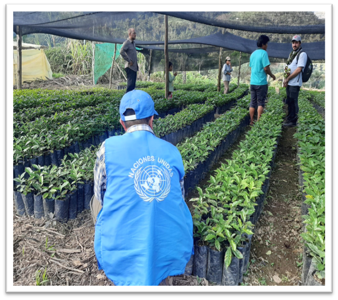 UNODC Alternative and Sustainable Livelihoods tweet media