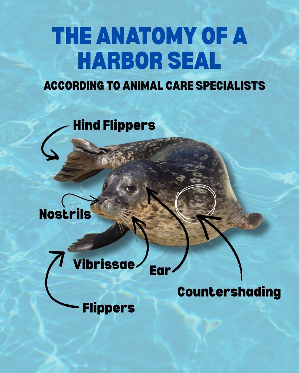 Six Flags Discovery Kingdom tweet media