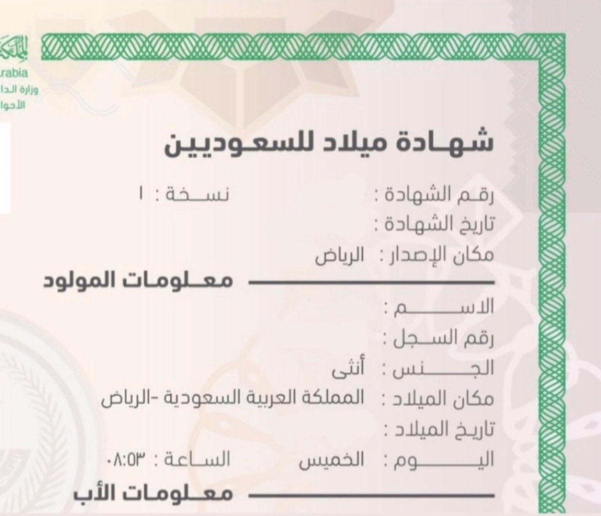 Lulyy👩🏻‍💻🎓 tweet media