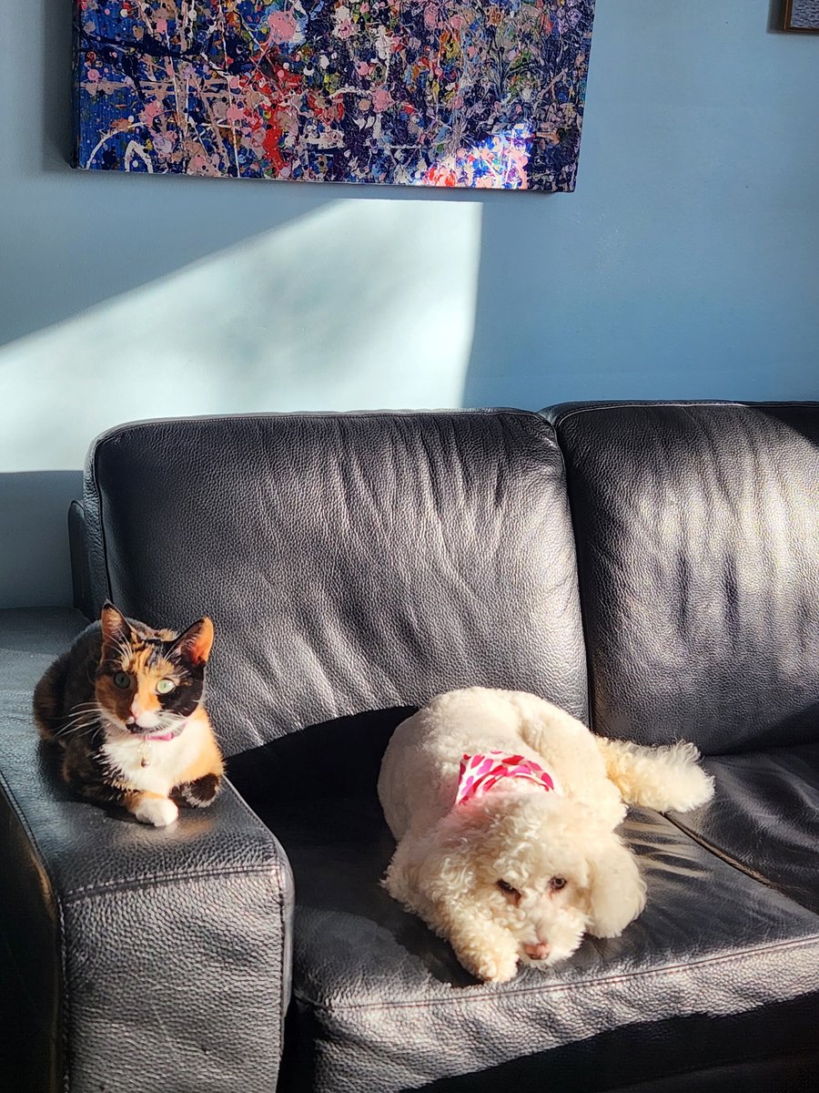 Go-Go-Ro🇨🇦 tweet media