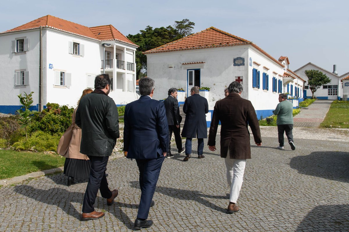 André Brandão de Almeida tweet media