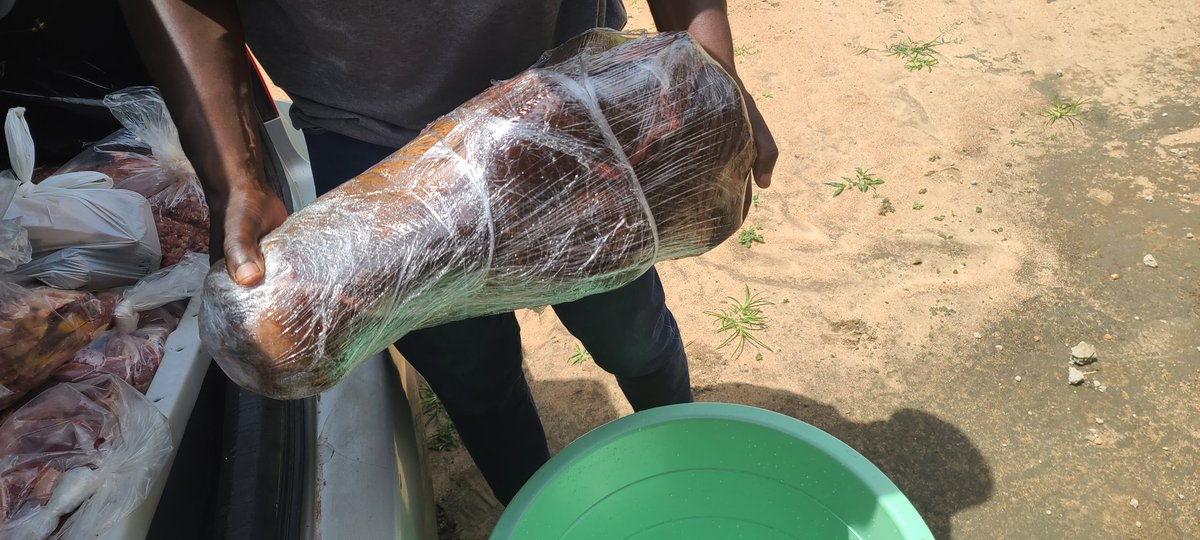 The Kuchengetana Trust tweet media