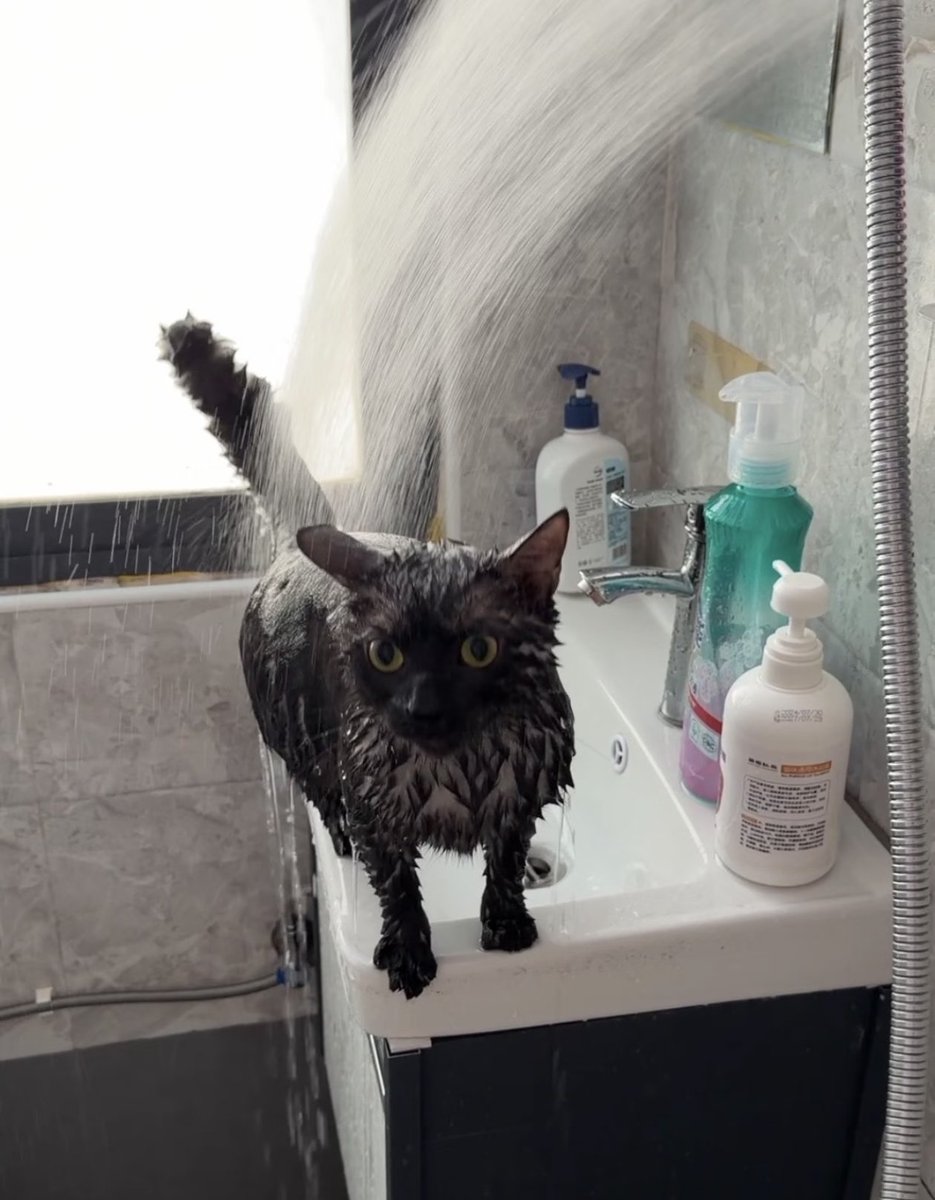 The most comfortable in the bath