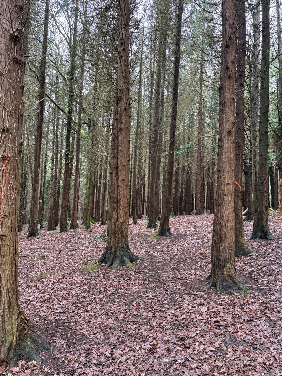 Daily Picture Theme tweet media