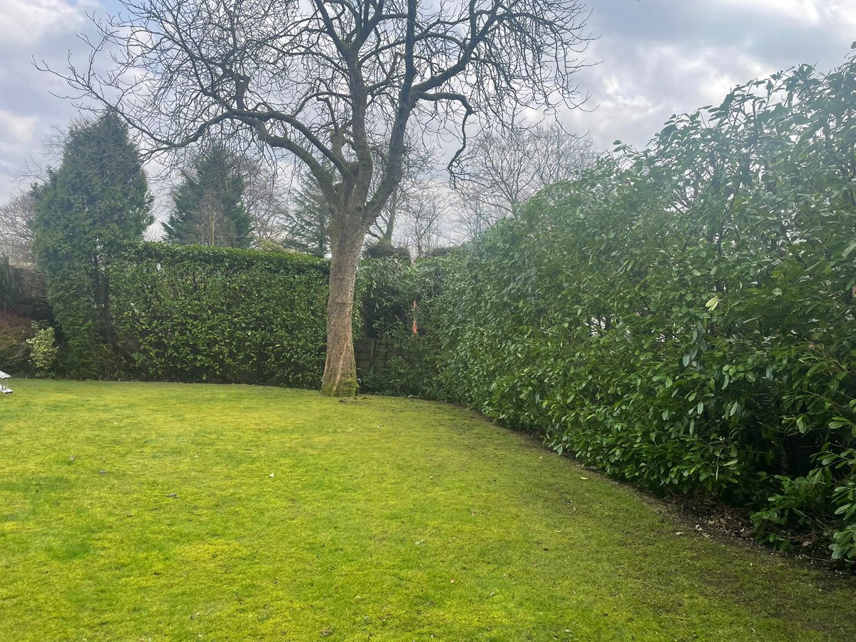 ArielTreeCare's tweet photo. A little bit of hedge trimming today in preparation for summer ☀️ please give us a call if you require a free quote 01204 592850. https://t.co/zLkAx7XdHQ