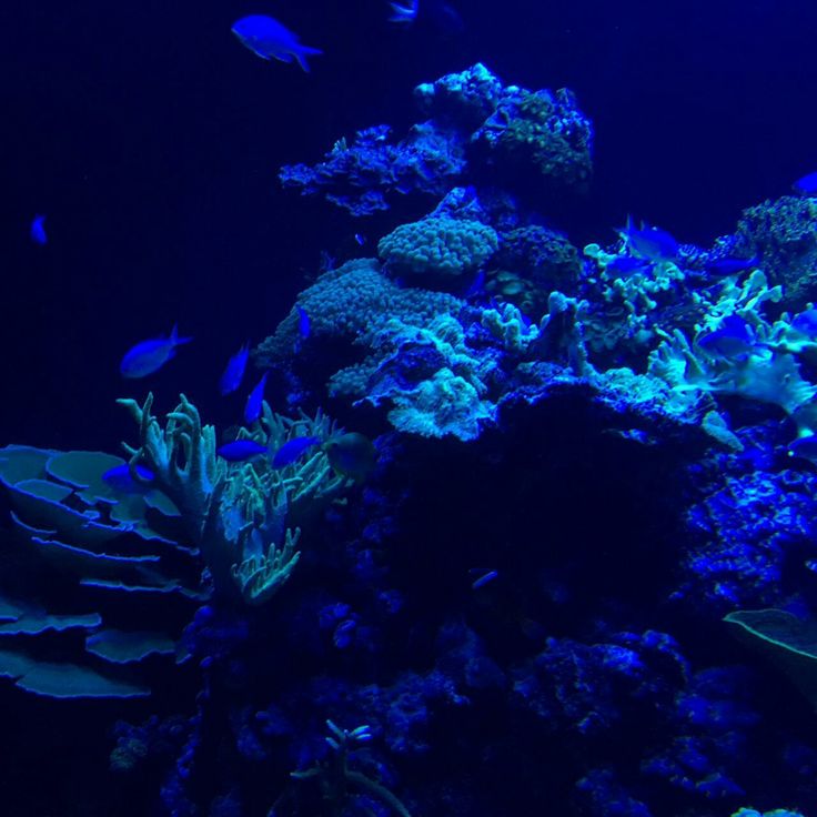 𝒍𝒖𝒏𝒂 tweet media