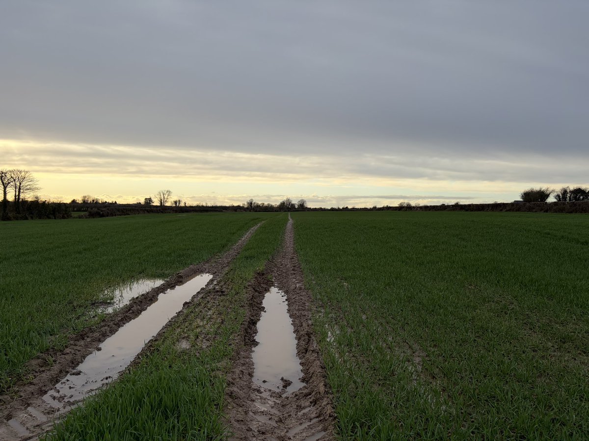 Conall Moore tweet media