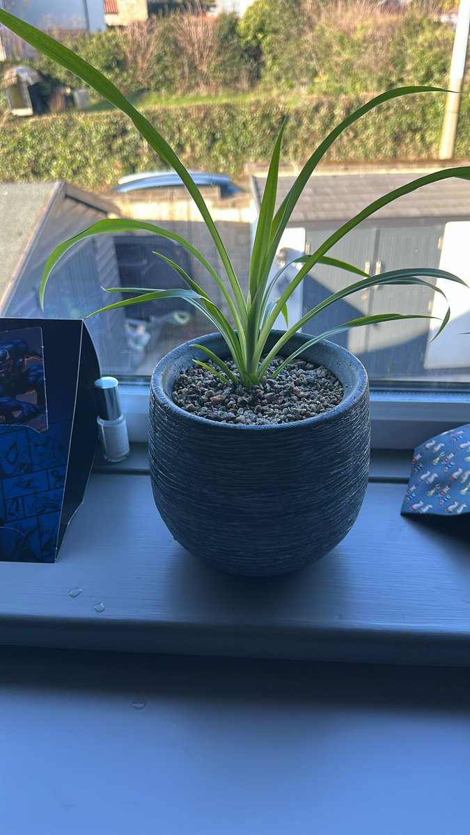 The Bridge at Wales High School tweet media