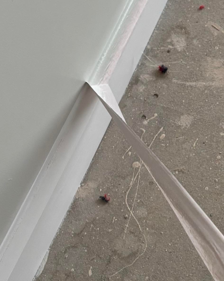 DecoratorsU's tweet image. The most satisfying part of the job…

#satisfying #decorator #painter