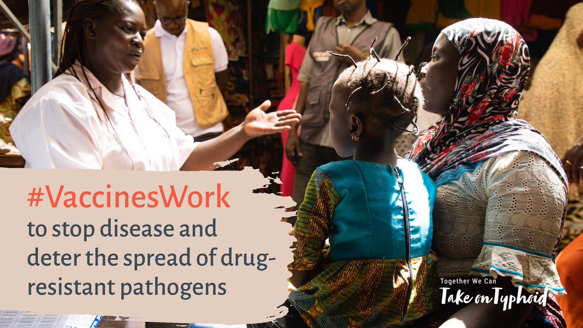 Take on Typhoid tweet media