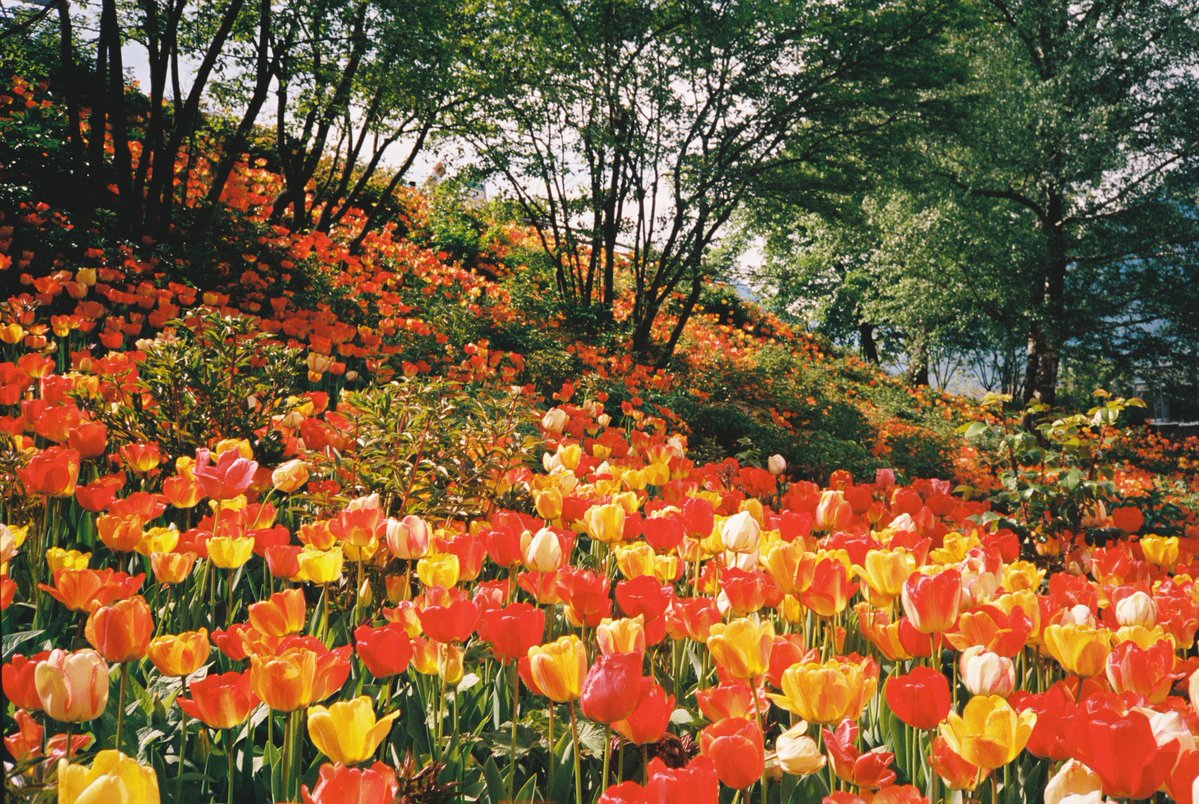 Michael Boegl tweet media