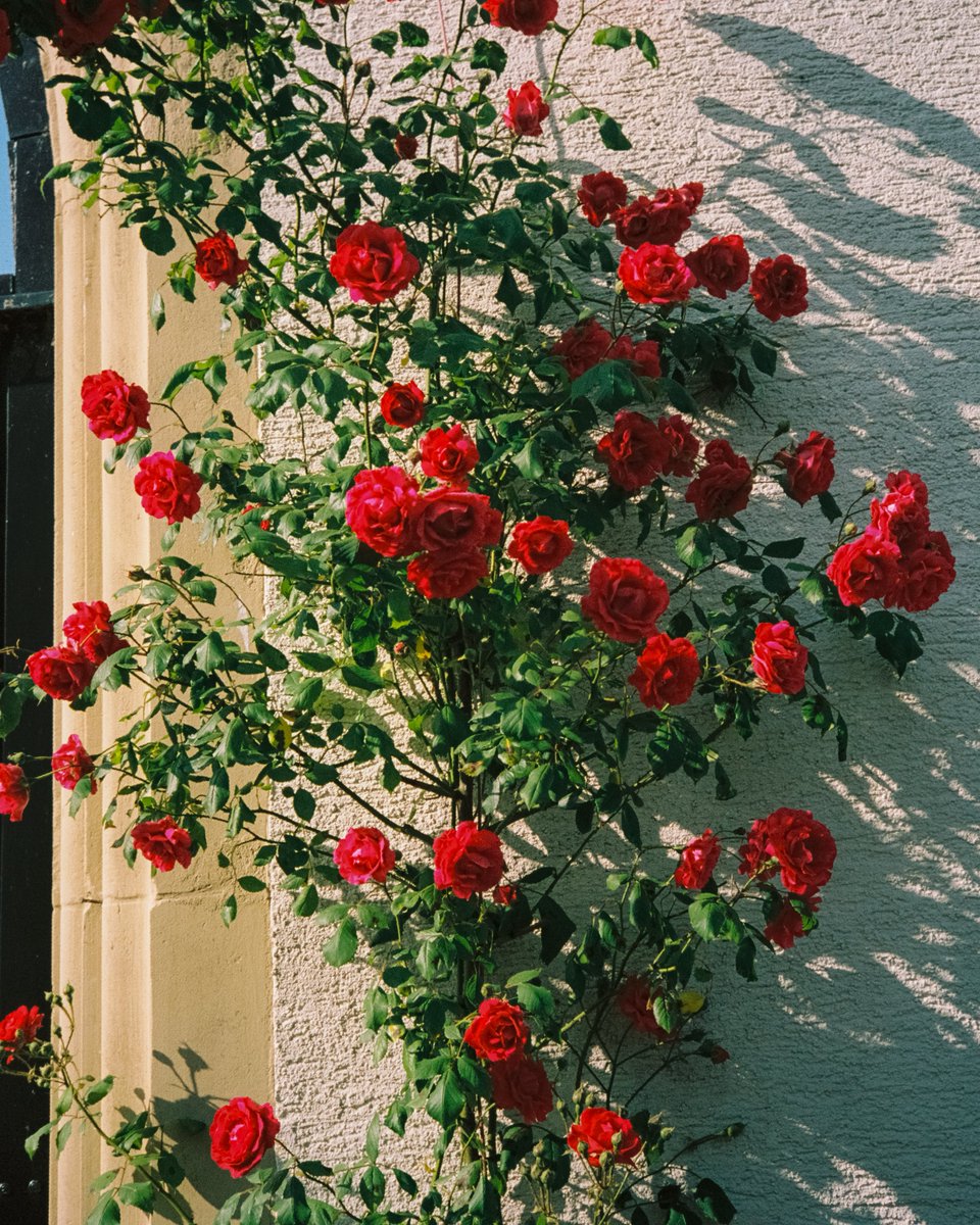 Michael Boegl tweet media