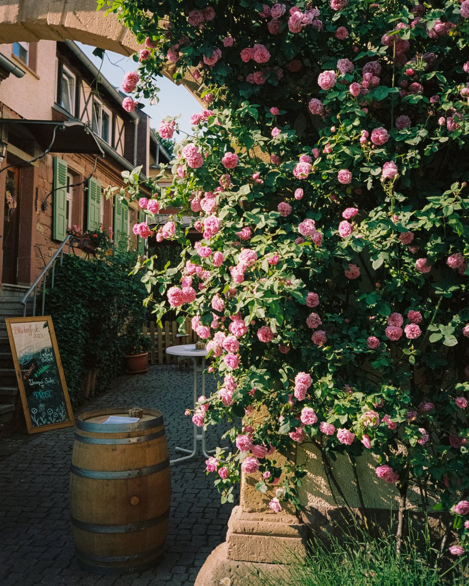 Michael Boegl tweet media