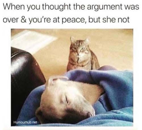 DavaStarr tweet media