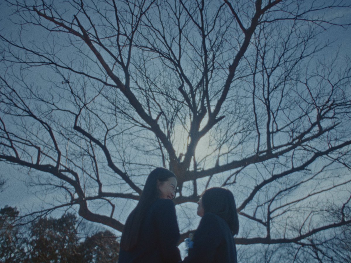 阿部友紀子 tweet media