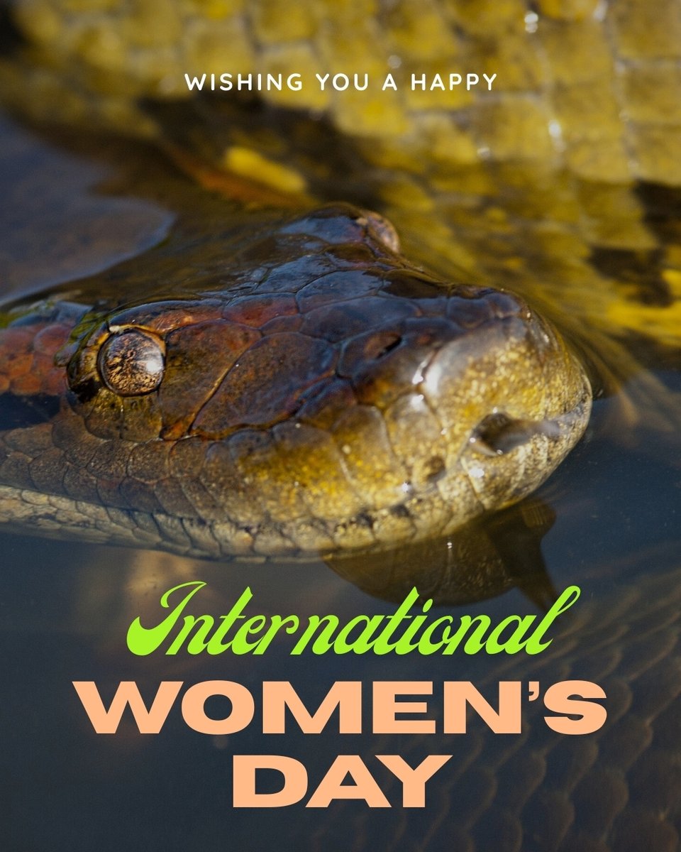 Southeast PARC tweet media