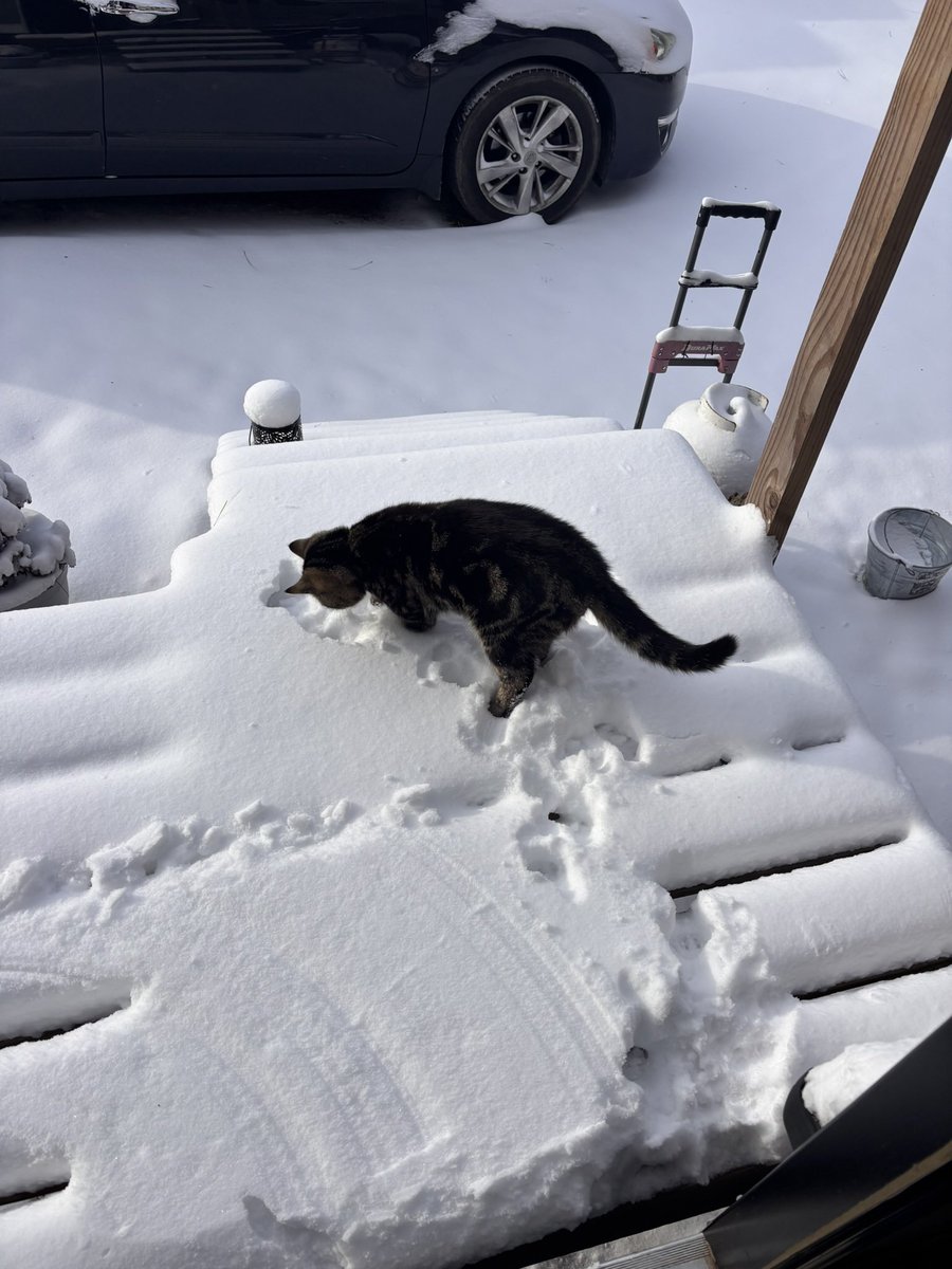 RealGwood's tweet photo. His first snow https://t.co/jqADmcqLUI