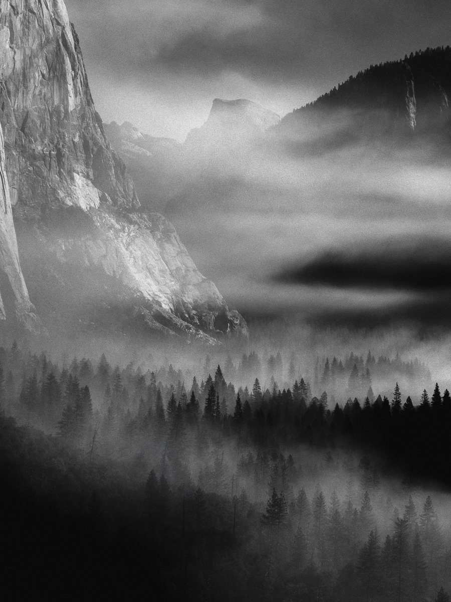 Jeff Mihaly tweet media