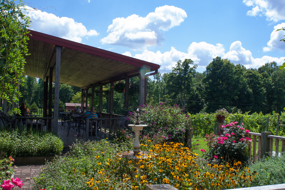 Visit Bloomington tweet media