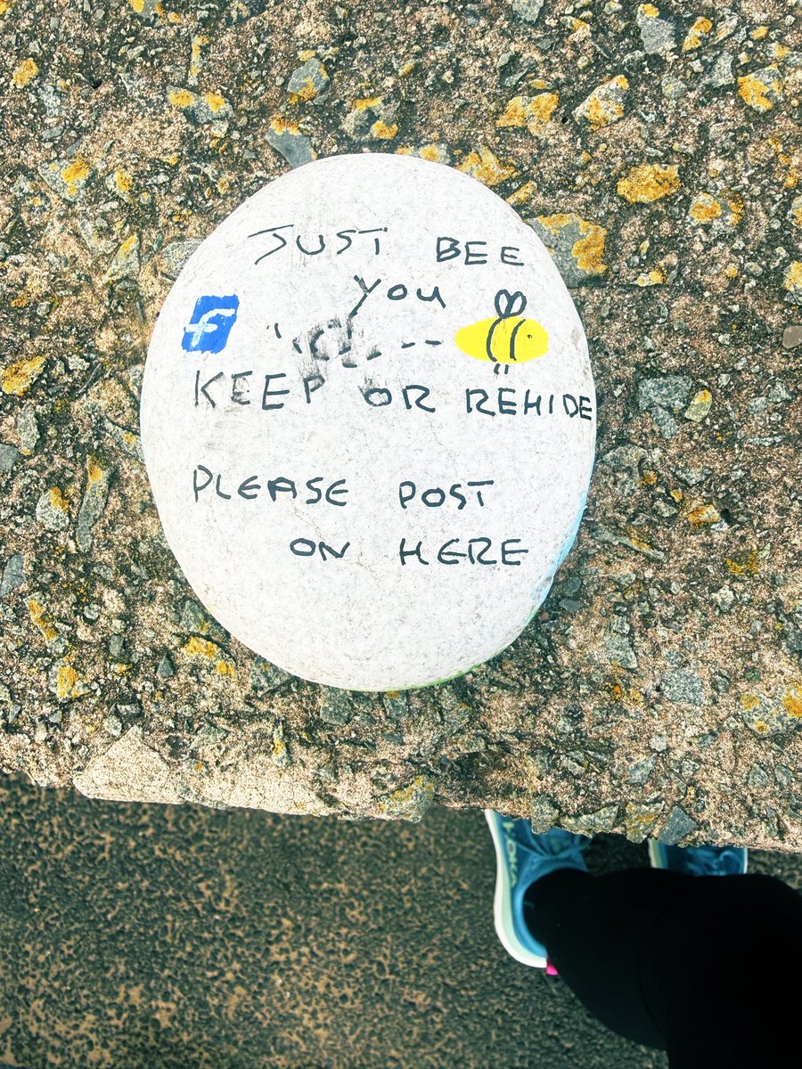 Shar 🏴 tweet media