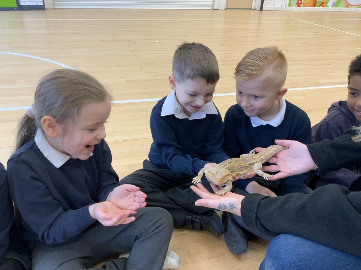 LAParnwell's tweet photo. Year 1 met real meerkats linked to Meerkat Mail, while Year 2 were amazed by a real owl connected to The Owl Who Was Afraid of the Dark. They even held reptiles and rodents! 🦉🦎🐭 A magical day of learning! #HandsOnLearning #MeerkatMail #OwlWhoWasAfraidOfTheDark #LearningIsFun https://t.co/EUWClmvH31