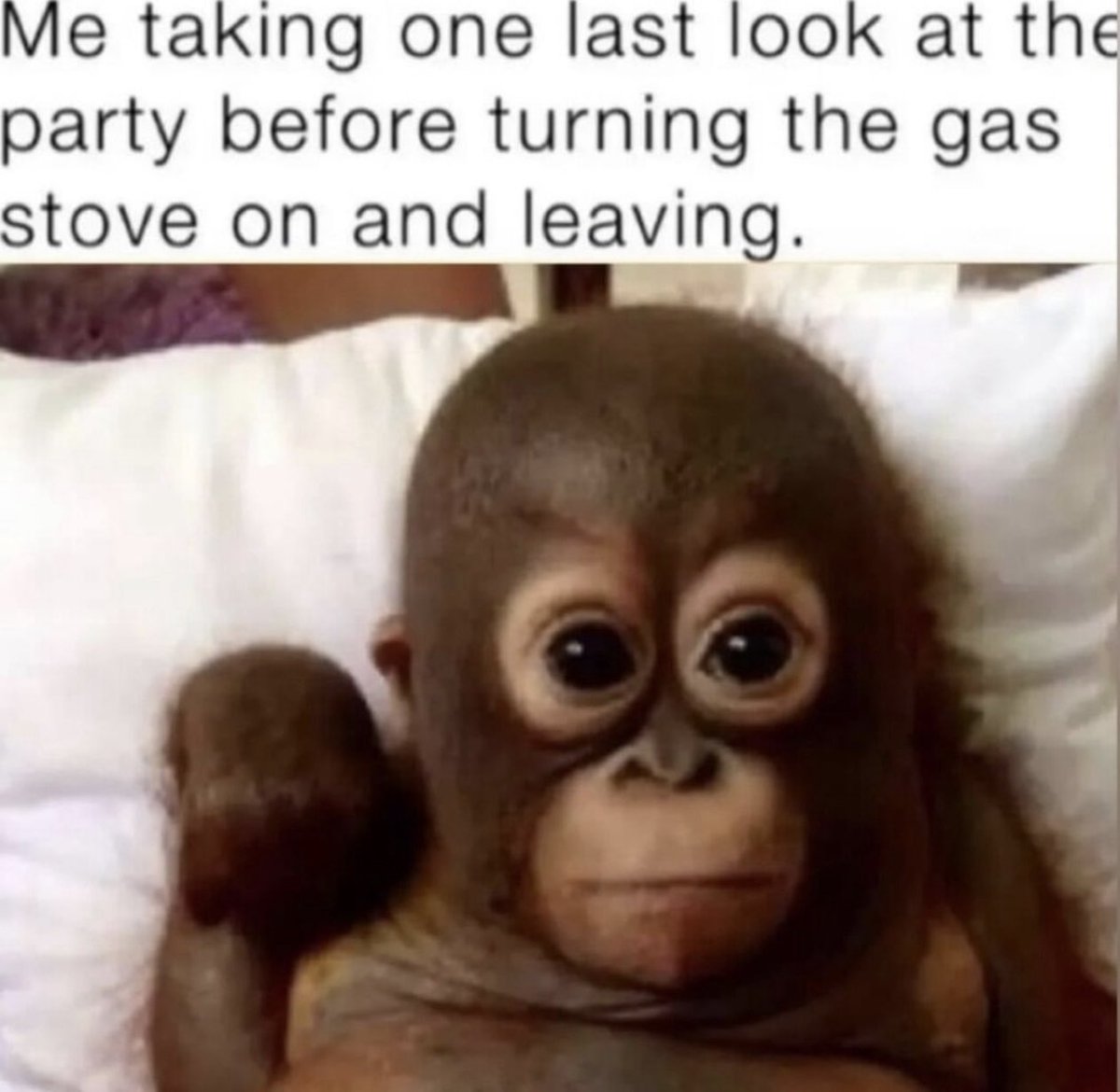 DeviantPigg (@defectivepigg) on Twitter photo 