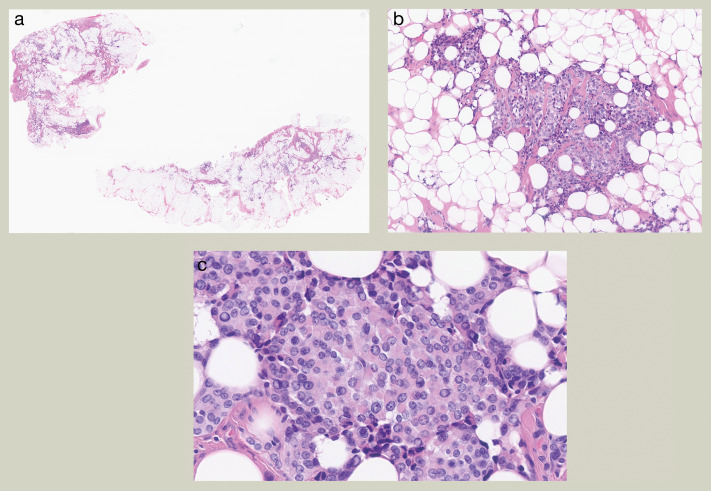 Pathological Society tweet media