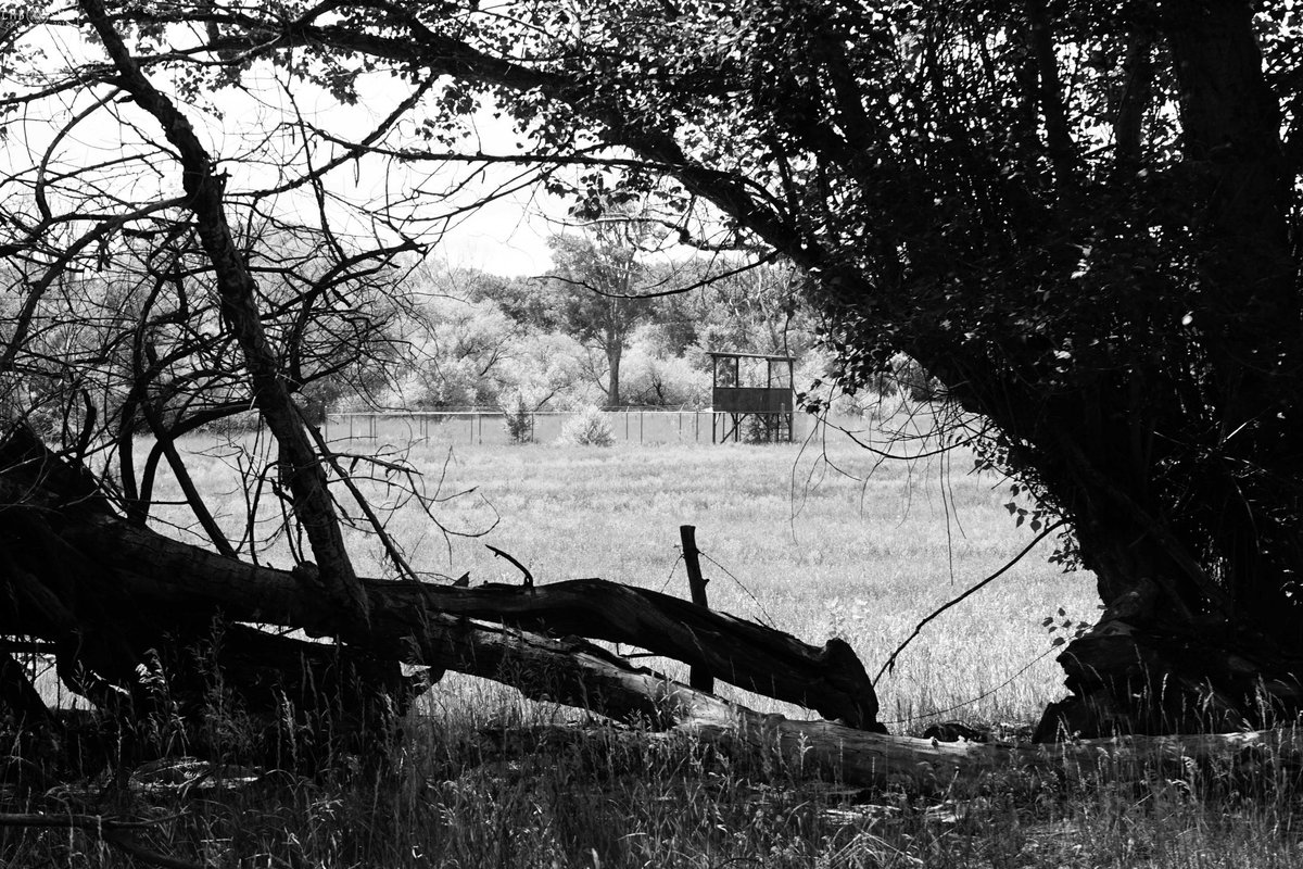 Chris Bartel tweet media