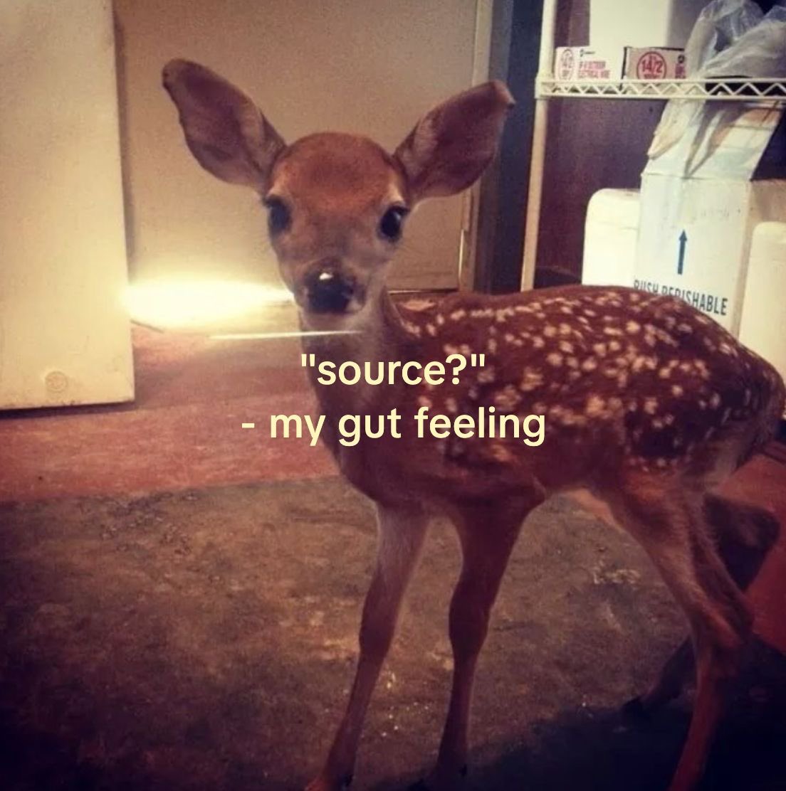 a broken soul tweet media