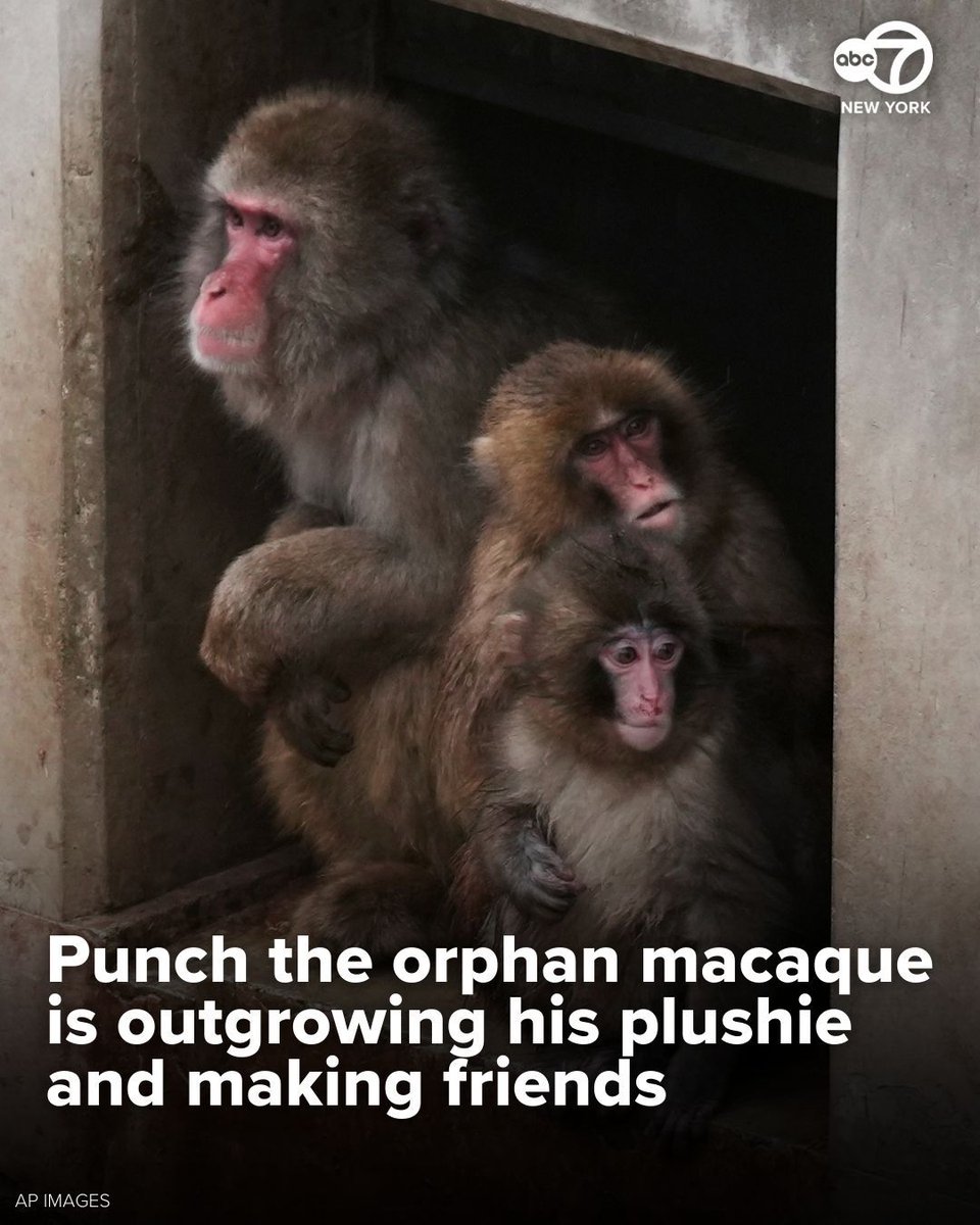 Eyewitness News tweet media