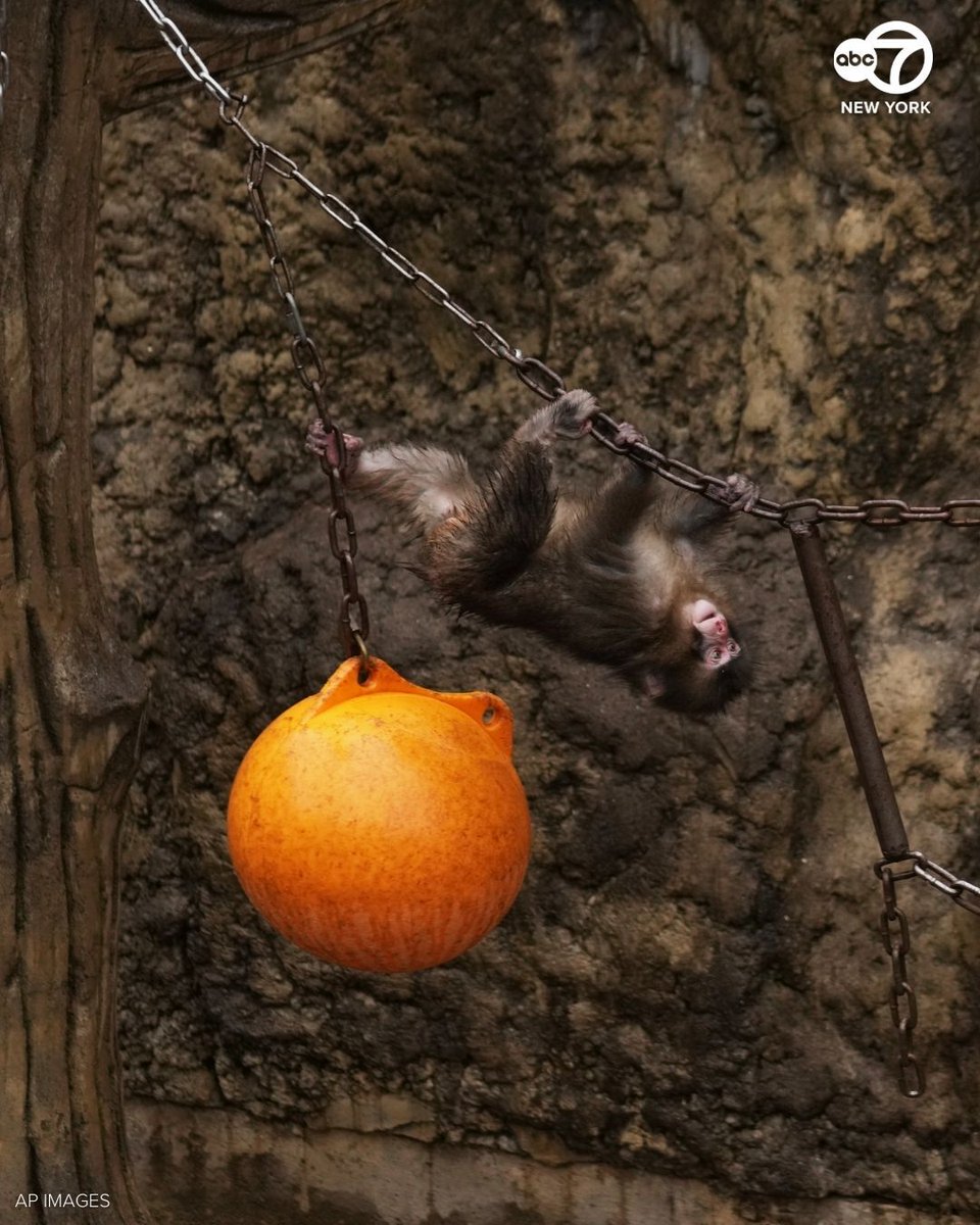 Eyewitness News tweet media