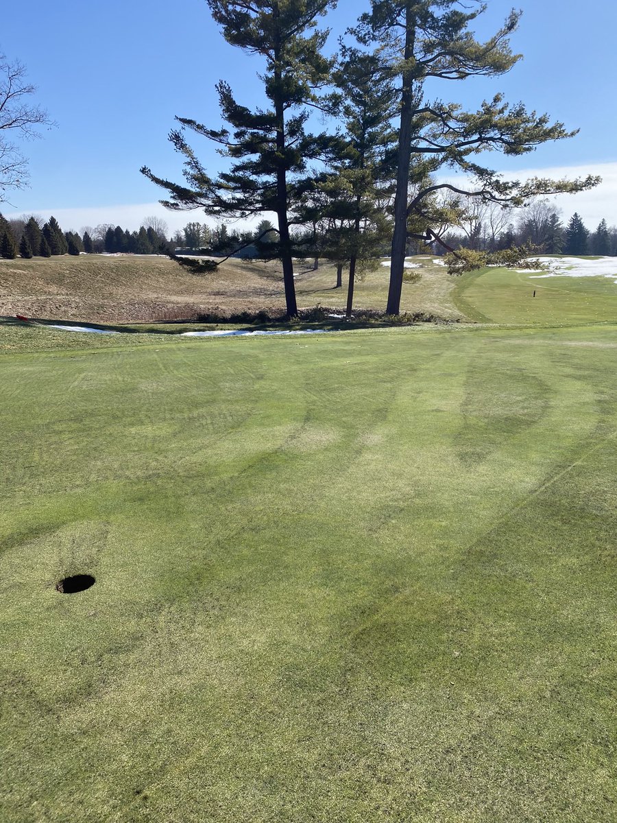 LHCC Grounds tweet media