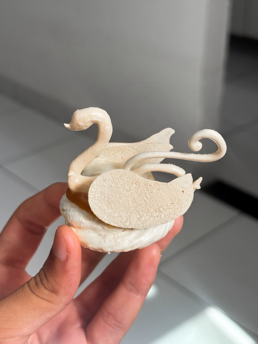 andersarts_'s tweet photo. Fiz mini pavlovas de cisne 🦢 https://t.co/CQ1RohKvF3
