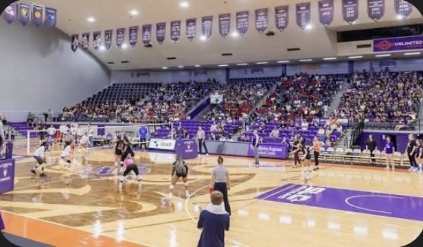 Cameron Kelly #2 tweet media